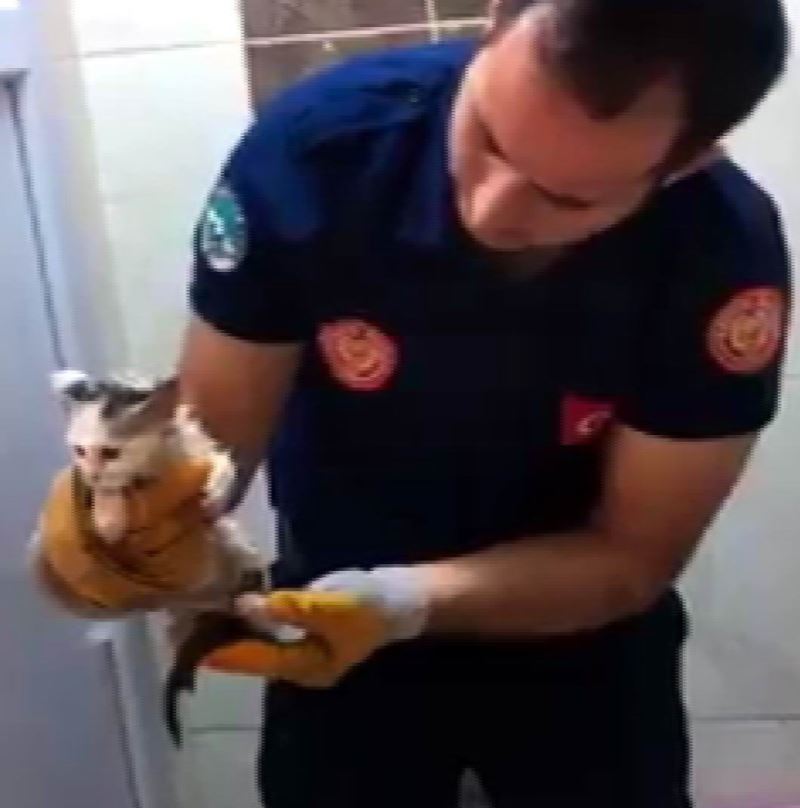 Tuvalete sıkışan kedi kurtarıldı
