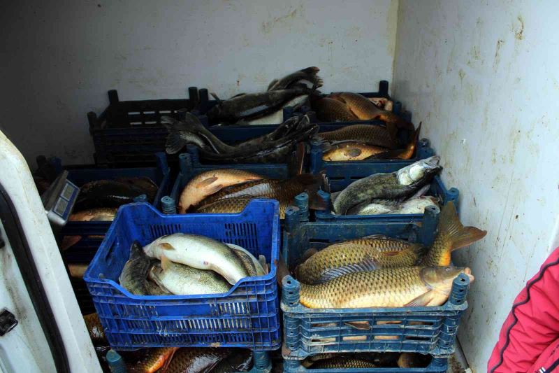 Kayseri’de 2 buçuk ton kaçak balık ele geçirildi
