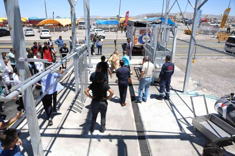 Melikgazi Belediyesi Kurban Bayramı’na hazır
