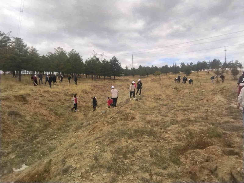 Büyükşehir, Bünyan’da öğrencilerle bin adet ağaç dikti
