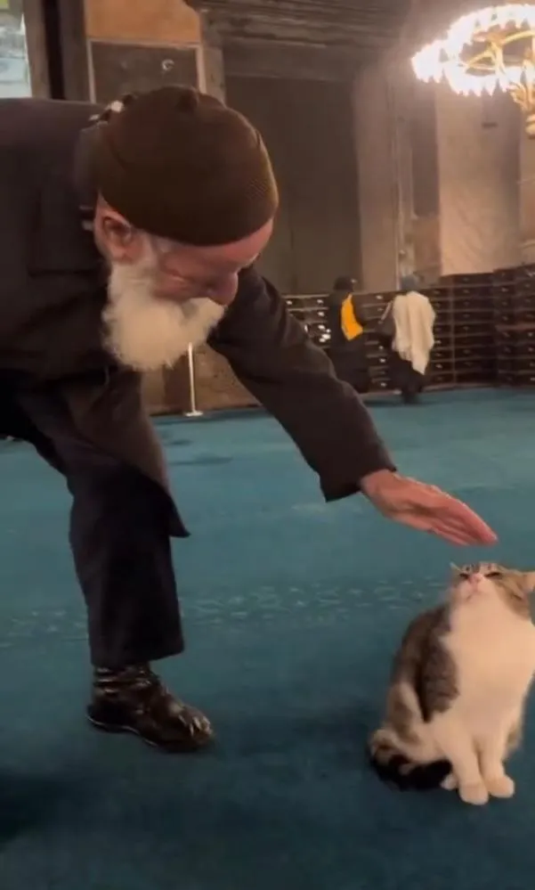 Ayasofya’da kedi sevdiği video ile viral olan Ahmet amca: “Kediye canım kaynadı sevdim, beni filme almışlar”