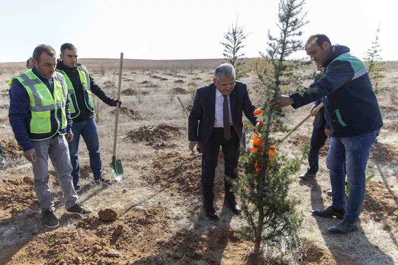 Başkan Büyükkılıç ile Kayseri’de 5 yılda 549 bin 735 adet ağaç ve çalı toprakla buluştu

