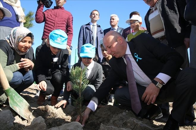 Kocasinan´da Ağaçlandırma Çalışmaları Tüm Hızıyla Devam Ediyor