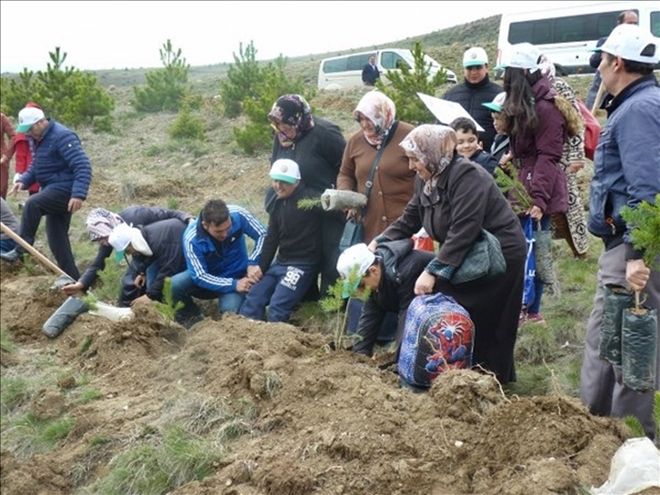 Otizm Farkındalık Ormanı´na 1000 adet fidan dikildi