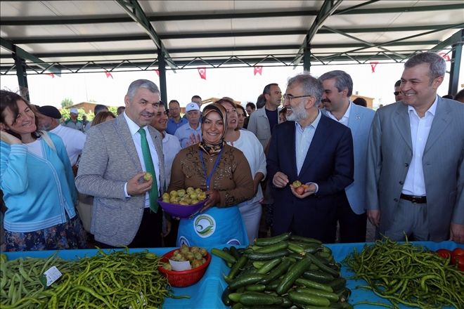Organik pazar bugün açık
