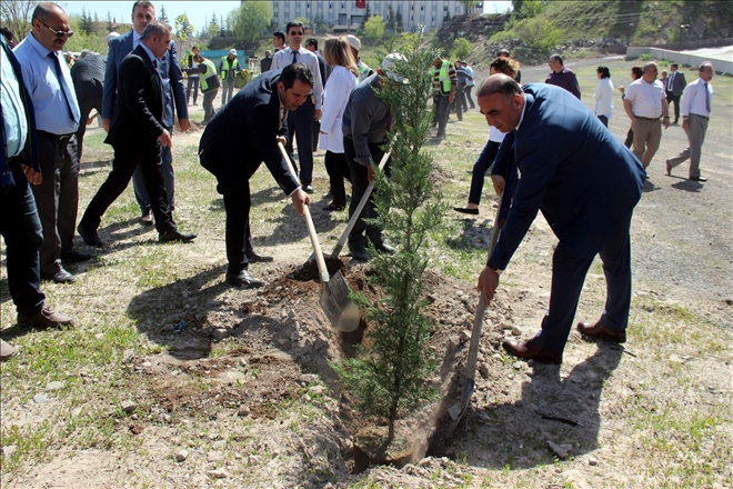 Daha yeşil Kayseri için bin adet fidan dikildi 