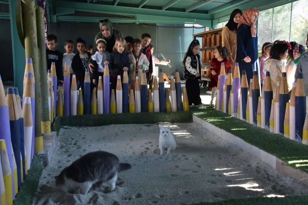 Kayseri Kocasinan