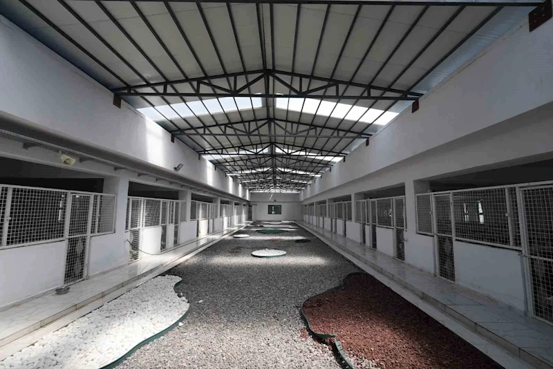 Kayseri’de 500 hayvan kapasiteli yeni bir barınak inşa ediliyor
